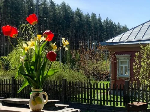 Hidden Plyos — фотография отеля